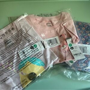 Carter’s 3T t-shirt and pants set